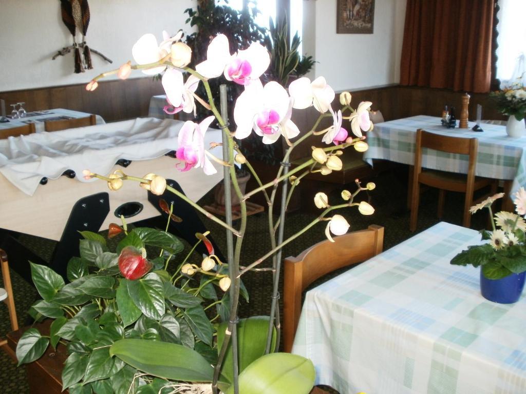 Hotel Pez Ault Disentis Exterior foto